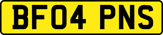 BF04PNS
