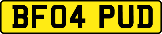 BF04PUD