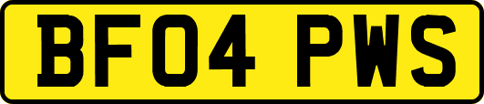 BF04PWS