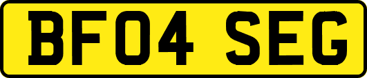 BF04SEG