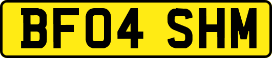 BF04SHM