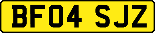 BF04SJZ