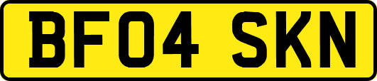 BF04SKN