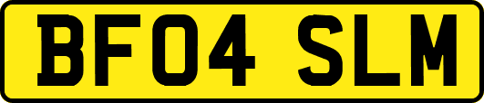 BF04SLM