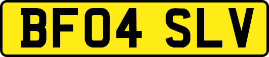 BF04SLV