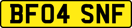 BF04SNF