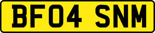 BF04SNM