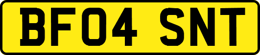 BF04SNT