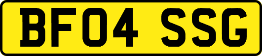 BF04SSG