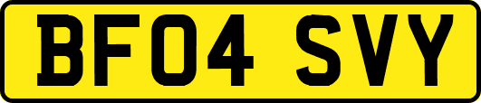 BF04SVY