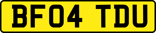 BF04TDU