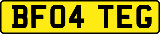 BF04TEG