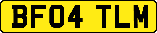 BF04TLM