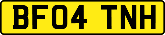 BF04TNH