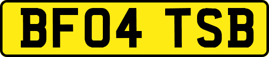 BF04TSB