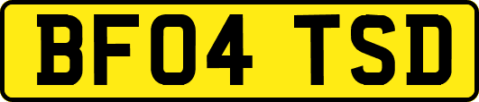 BF04TSD