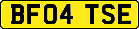 BF04TSE