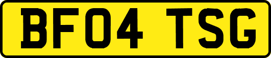BF04TSG
