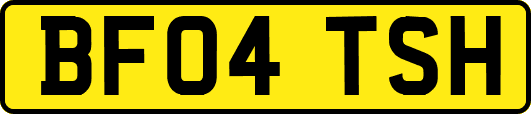 BF04TSH