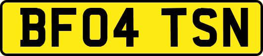 BF04TSN