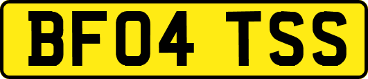 BF04TSS