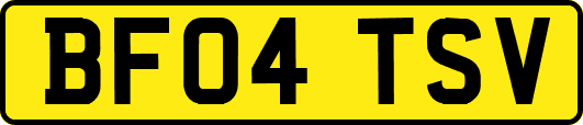 BF04TSV