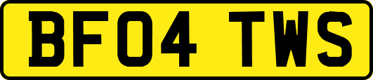 BF04TWS
