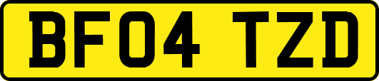 BF04TZD