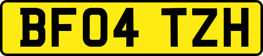 BF04TZH