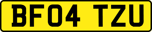 BF04TZU