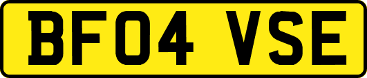 BF04VSE