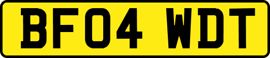 BF04WDT