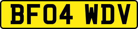 BF04WDV
