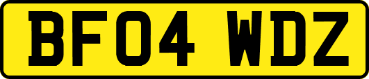 BF04WDZ