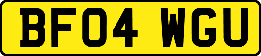 BF04WGU