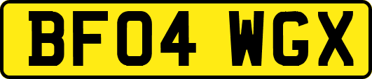 BF04WGX