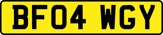 BF04WGY
