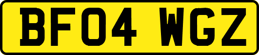 BF04WGZ