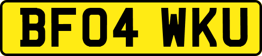 BF04WKU