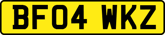 BF04WKZ