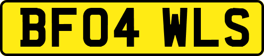 BF04WLS