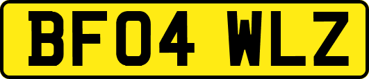 BF04WLZ