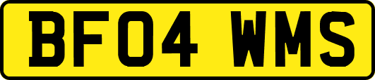 BF04WMS