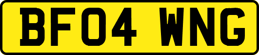 BF04WNG