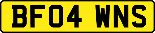 BF04WNS