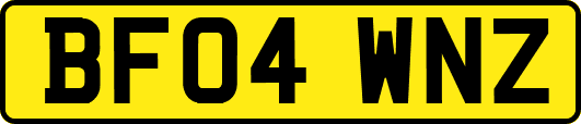 BF04WNZ
