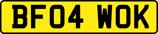 BF04WOK