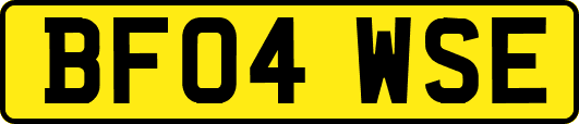 BF04WSE