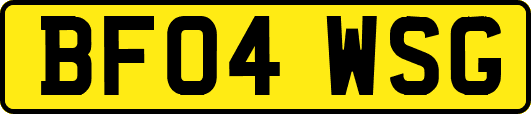 BF04WSG