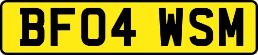 BF04WSM